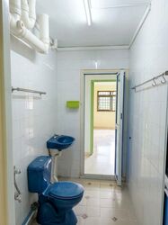Blk 290B Spring View (Bukit Batok), HDB Executive #628785521
